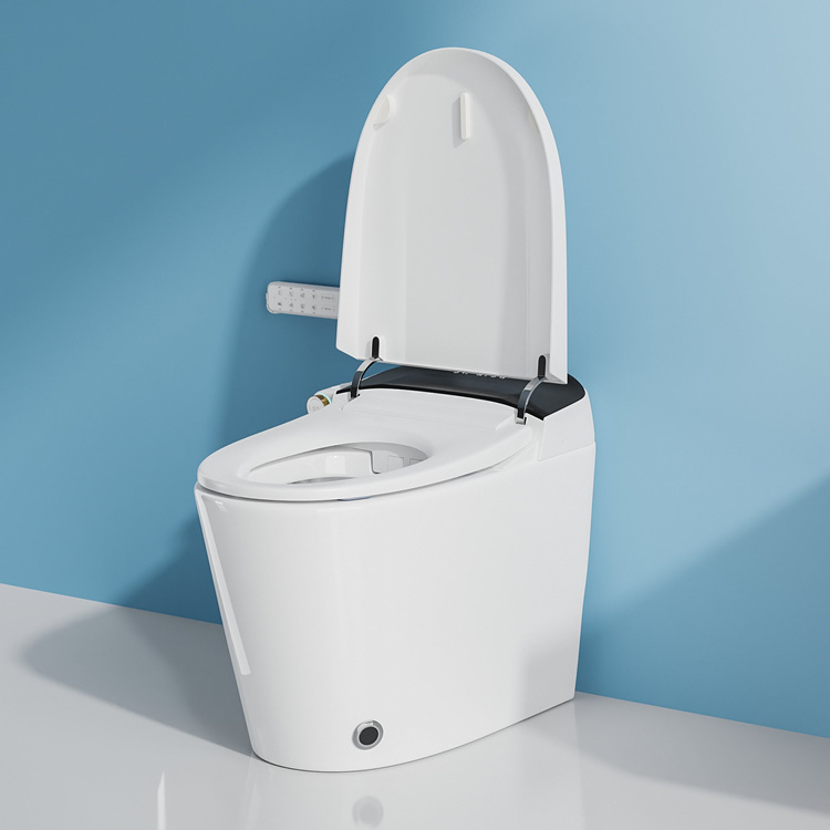 Home Decoration Bathroom Smart - Electronics For Home ulasan dan harga
